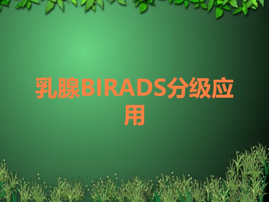 乳腺BIRADS分级应用.ppt_第1页