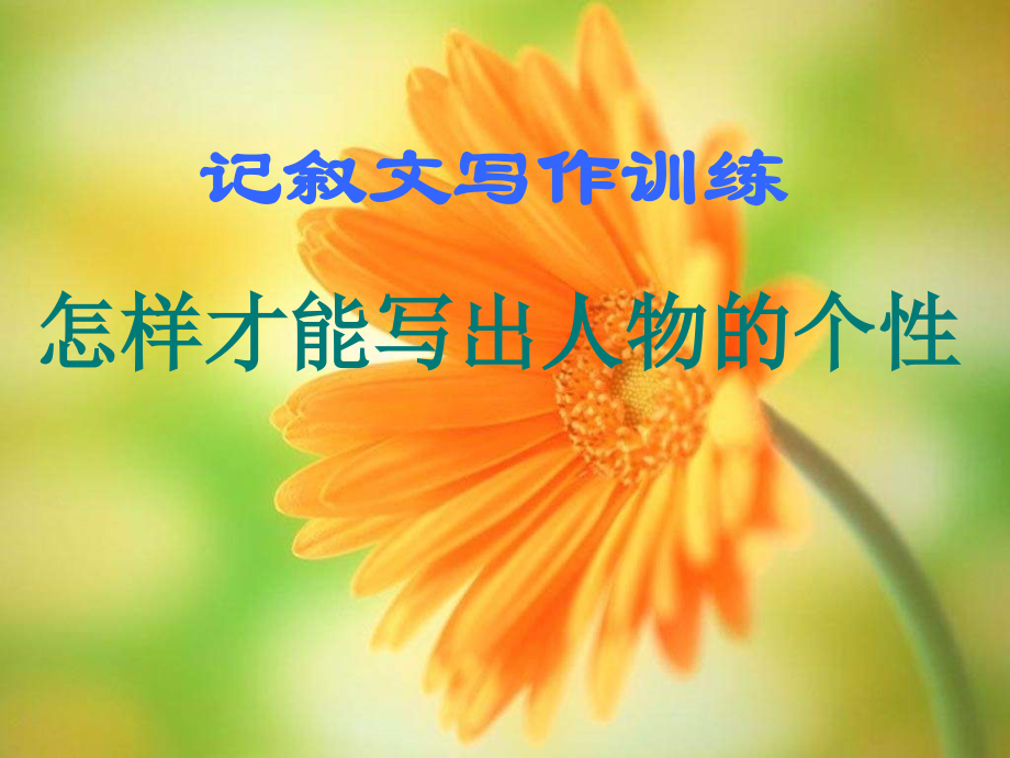 怎样写出人物的个性.ppt_第1页