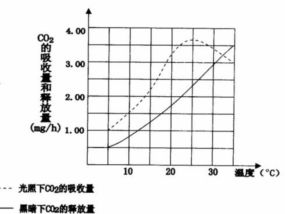 影响光合作用的外界因素.ppt_第1页