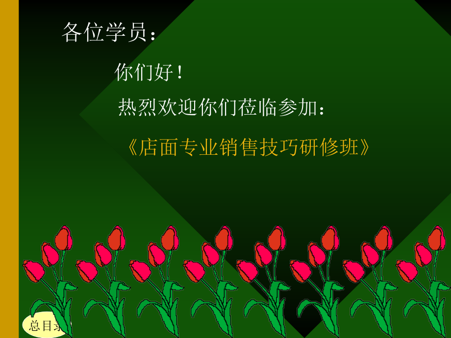 店面专业销售技巧研修培训材料.ppt_第1页