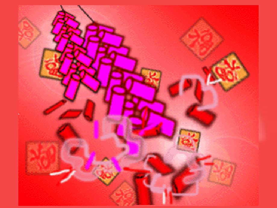本命年的回想.pptx_第2页