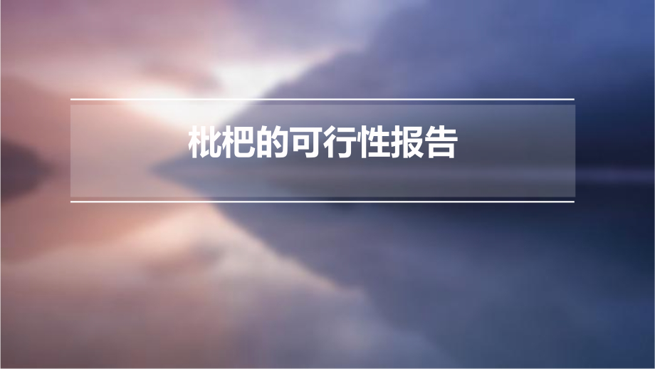 枇杷的可行性报告.pptx_第1页