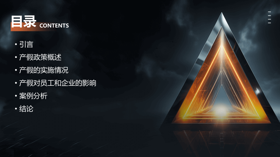 产假报告资料.pptx_第2页