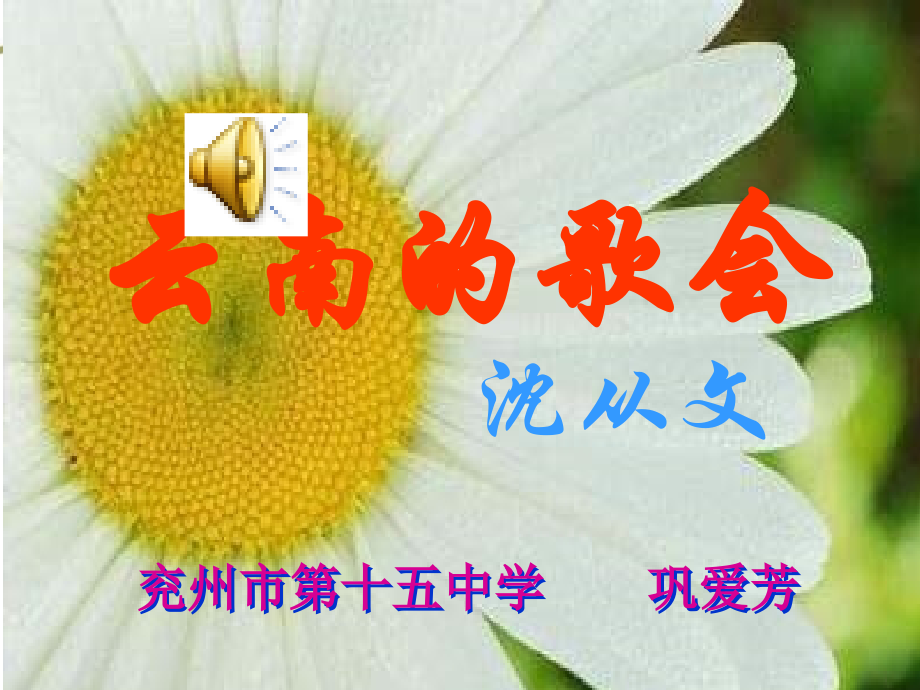《云南的歌会》-课件.ppt_第1页