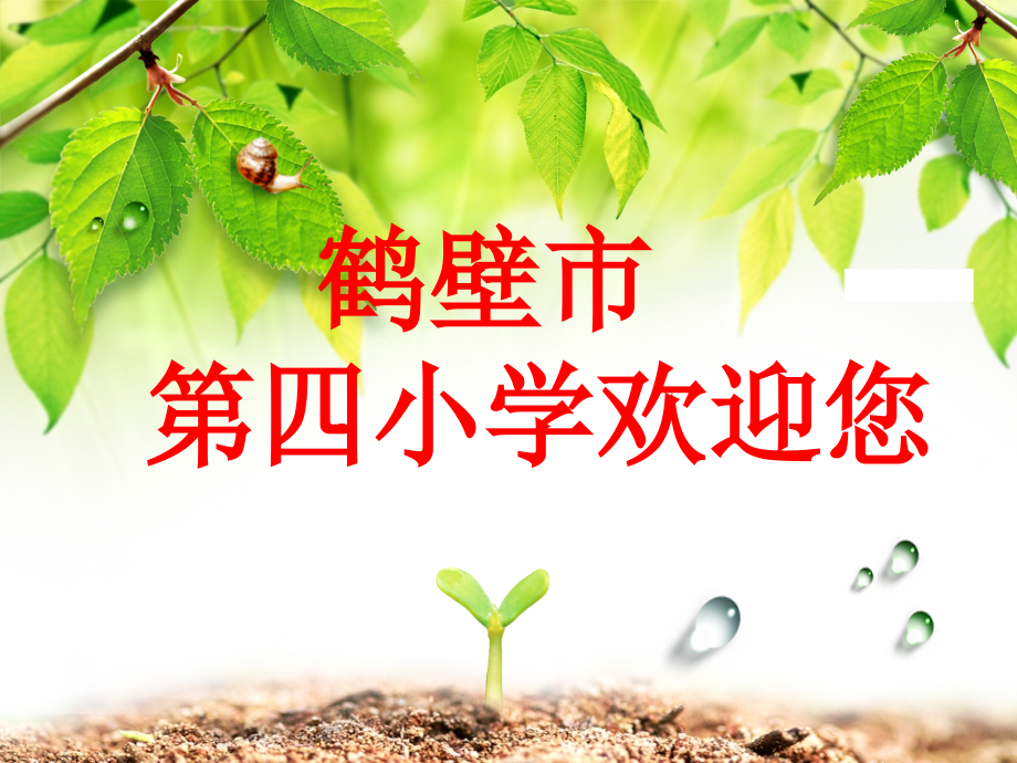 报告《我的语文教学观》课件.ppt_第1页
