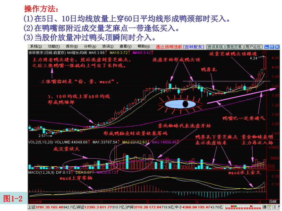 疑似老鸭头股票.ppt_第2页