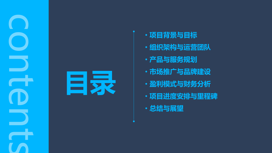 车友会商业计划书.pptx_第2页
