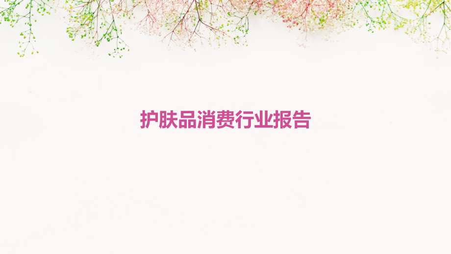 护肤品消费行业报告.pptx_第1页