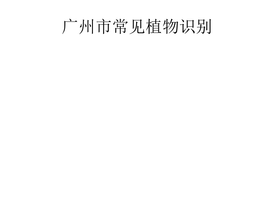 广州市常见植物识（1－10）.ppt_第1页