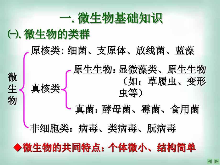 课题1_微生物的实验室培养.ppt_第2页