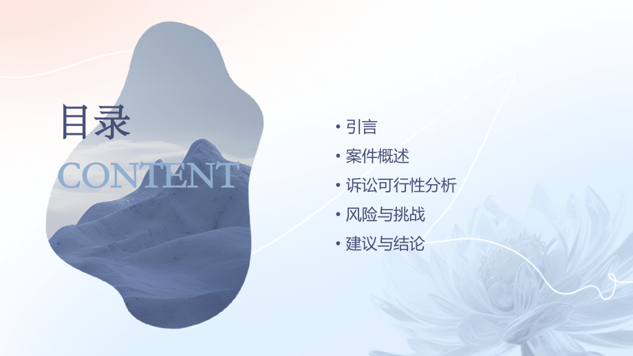 案件诉讼可行性报告.pptx_第2页