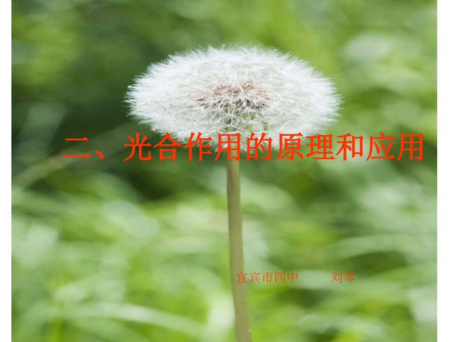 说课用课件光合作用1.ppt_第1页