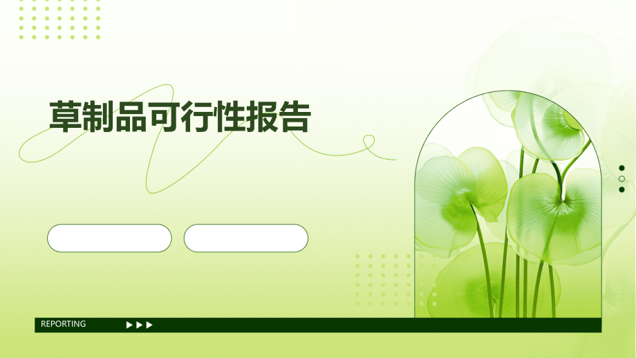 草制品可行性报告.pptx_第1页