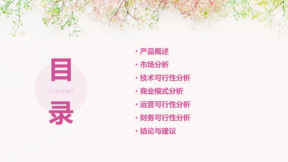 产品可行性分析方案报告.pptx_第2页