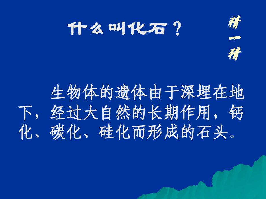 化石吟课件my.ppt_第2页