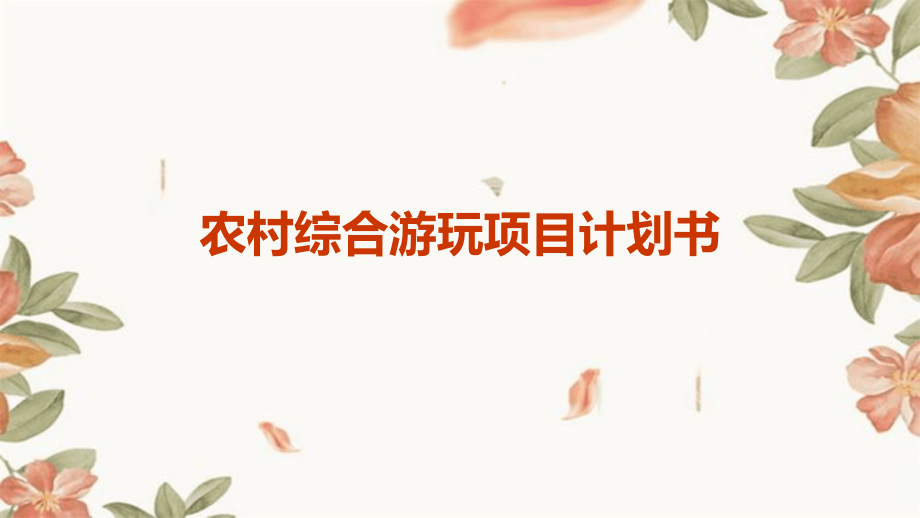 农村综合游玩项目计划书.pptx_第1页