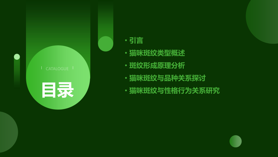 猫咪斑纹分析报告.pptx_第2页