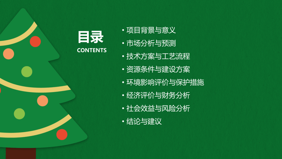 硅业可行性报告.pptx_第2页