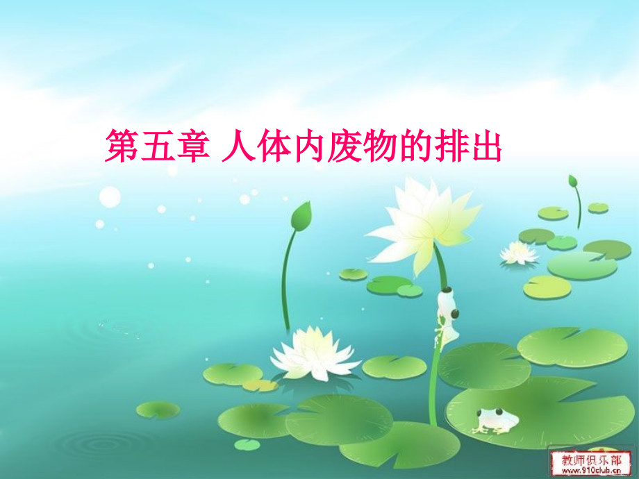 第五章人体内废物的排出PPT.ppt_第1页