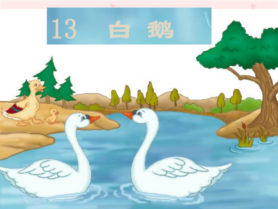 《白鹅》教学演示课件 (3).ppt_第1页
