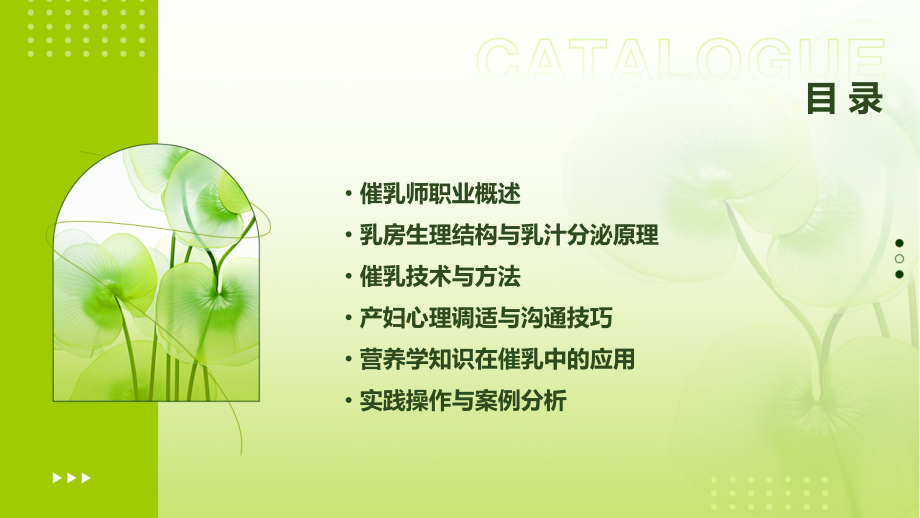 最正规的催乳师培训课件.pptx_第2页