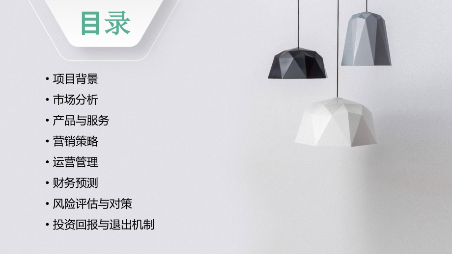 美国点计划书.pptx_第2页