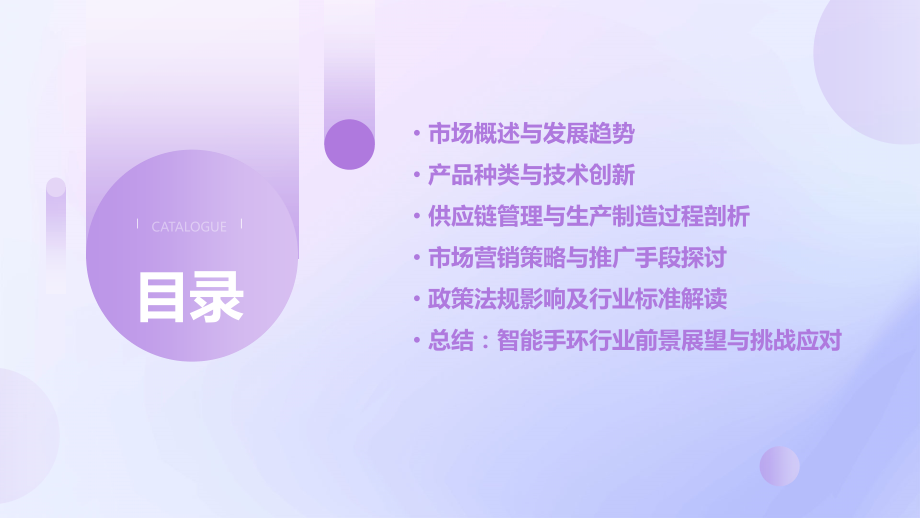 智能手环的行业报告.pptx_第2页