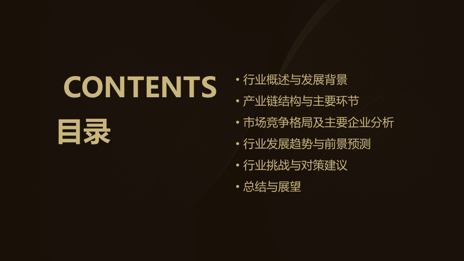中国动漫二次元行业报告.pptx_第2页