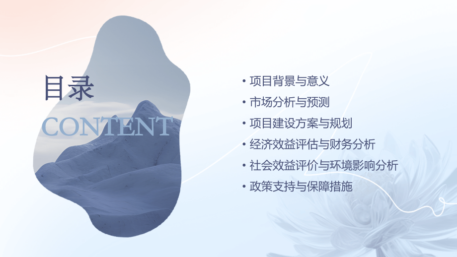 夜市城可行性报告.pptx_第2页