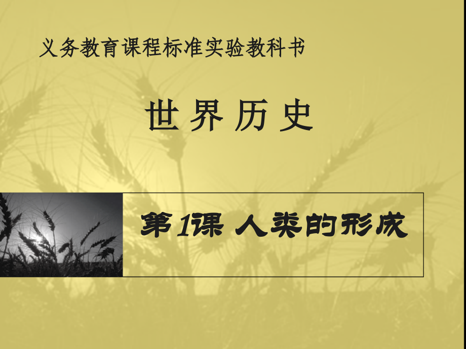 【课件1】第1课人类的形成.ppt_第2页