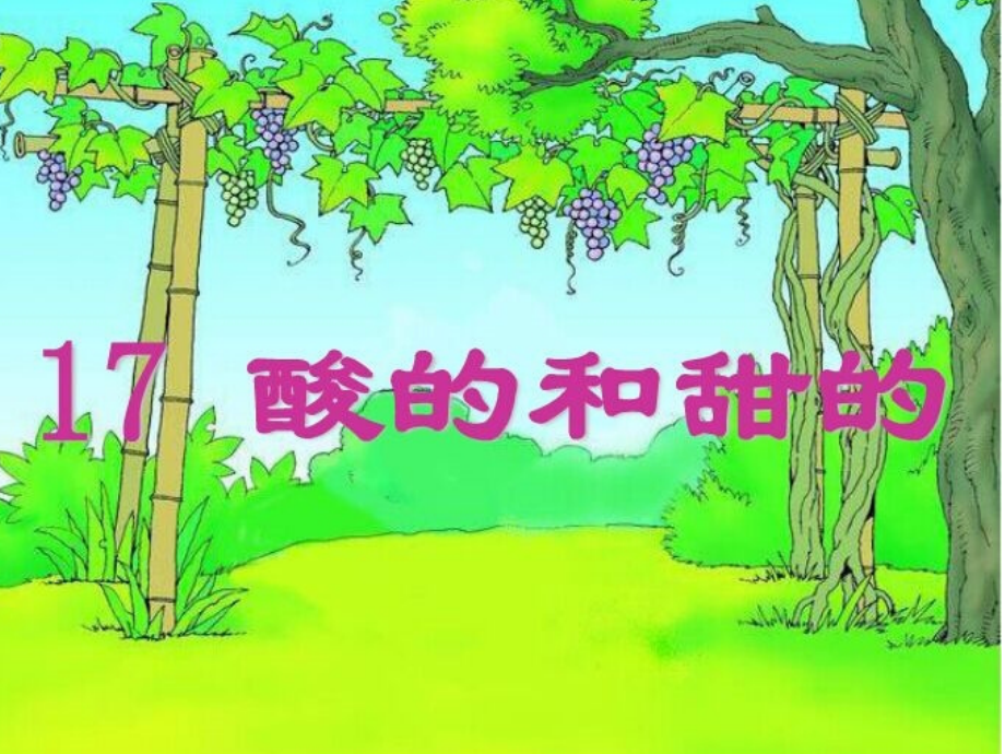 二年级语文上册第四组17酸的和甜的第二课时课件.ppt_第1页