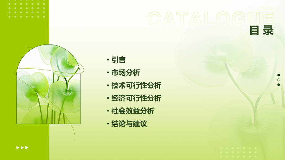 种植文冠果树可行性报告.pptx_第2页