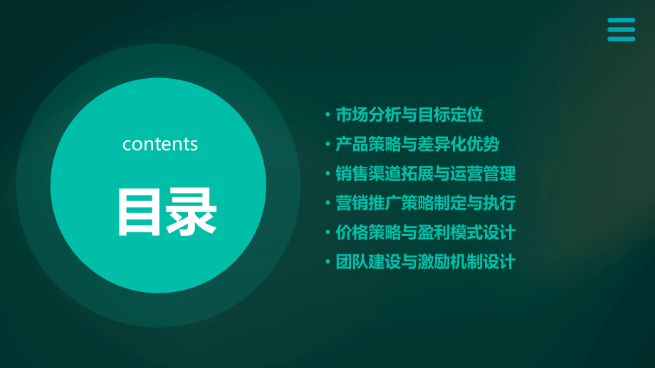 药膏贴销售计划书.pptx_第2页