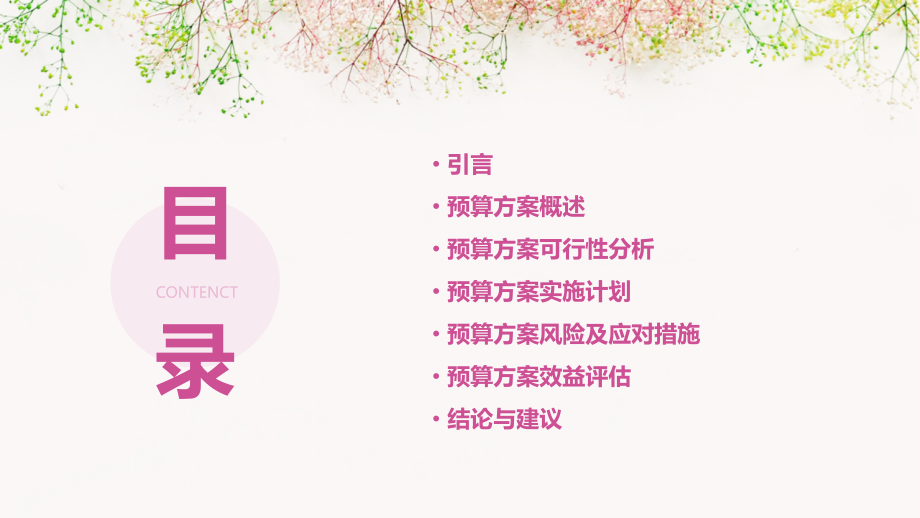 预算方案可行性.pptx_第2页