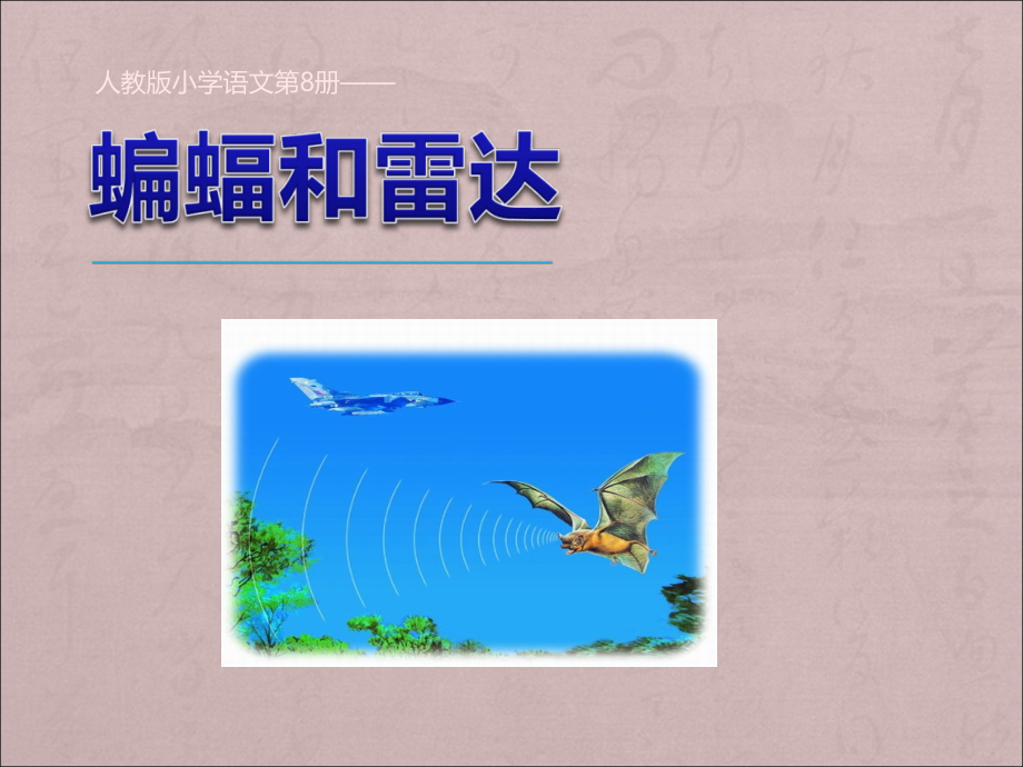 《11蝙蝠和雷达》PPT课件.ppt_第1页