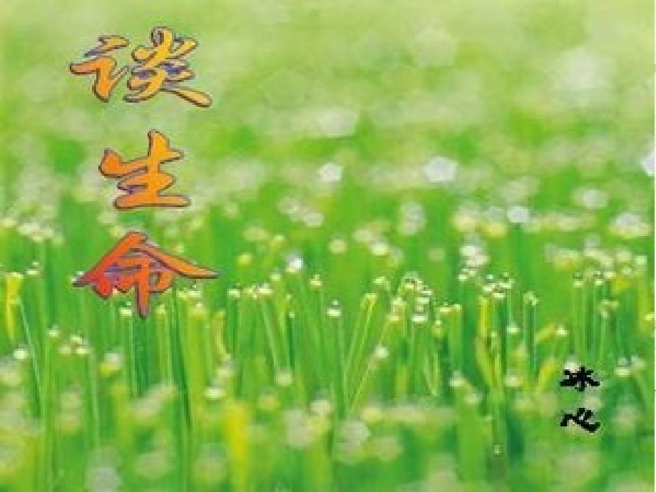谈生命 (3).ppt_第1页