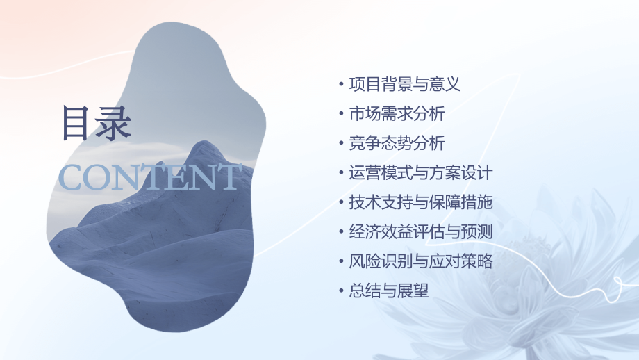 金融办可行性报告.pptx_第2页