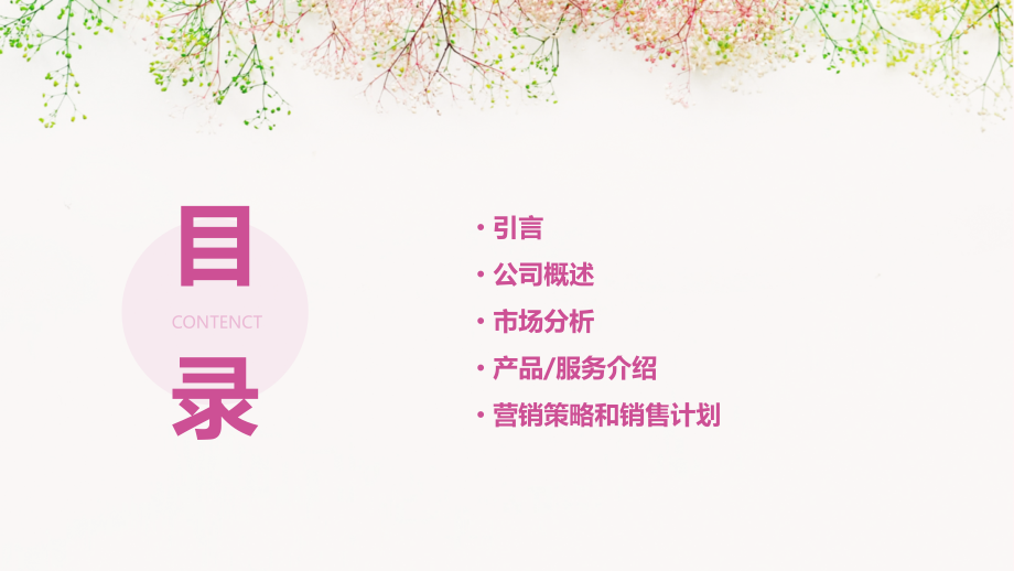 朗读自己的创业计划书.pptx_第2页