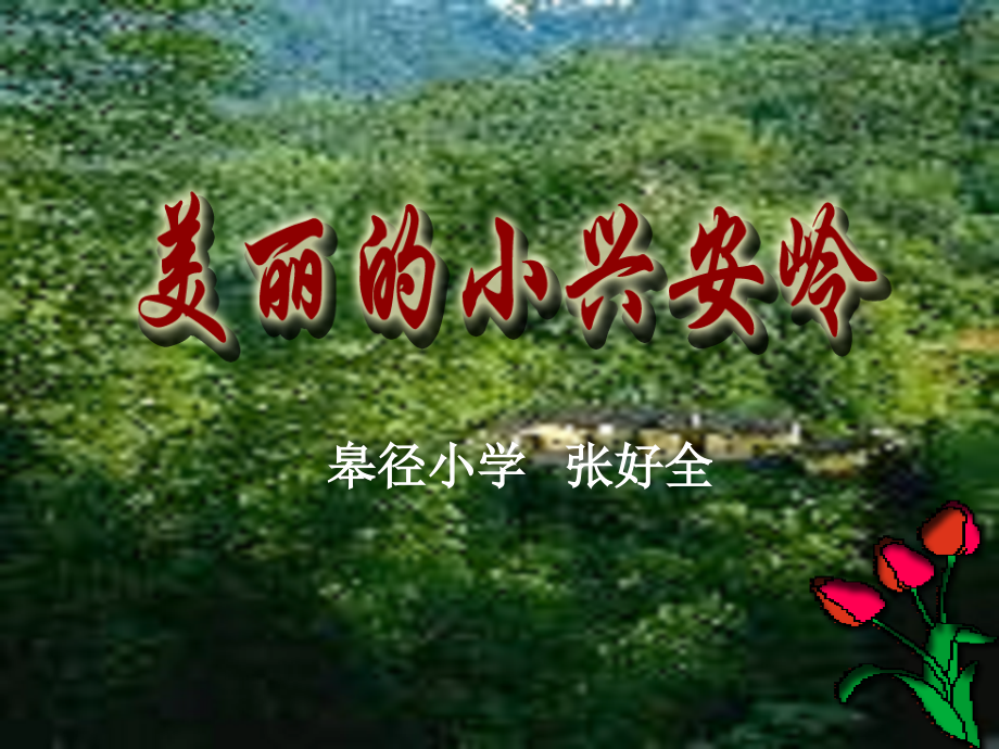三语上美丽的小兴安岭(课件).ppt_第1页