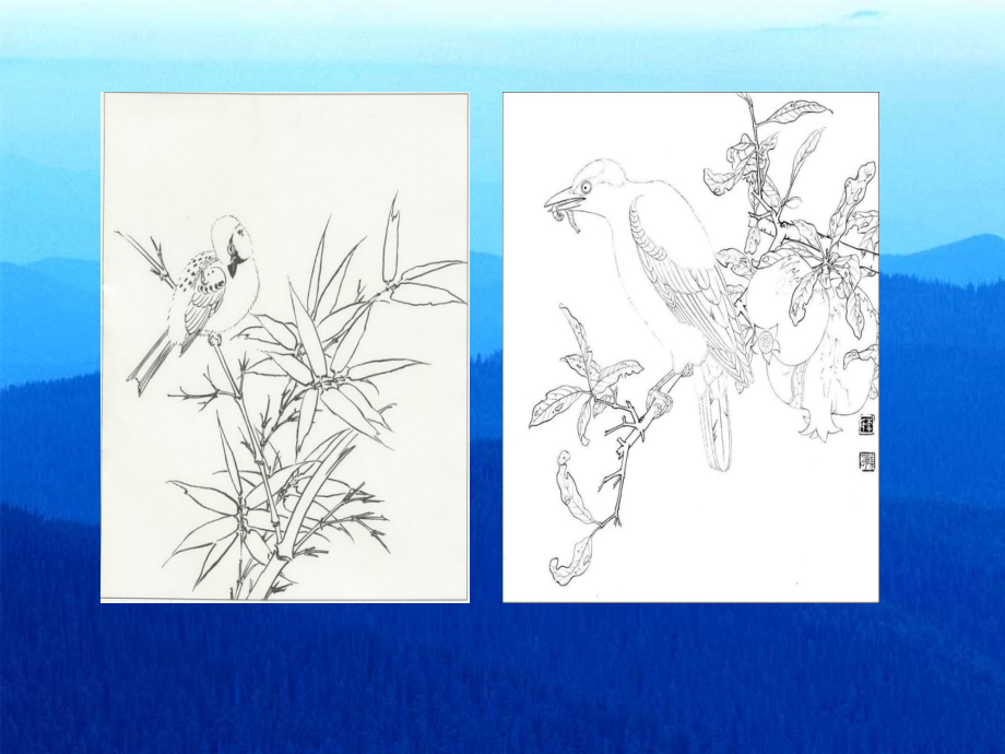 （长春版）三年级语文上册课件鸟1.ppt_第2页
