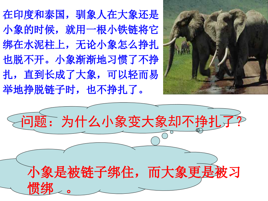 小学一年级班会课课件.ppt_第2页