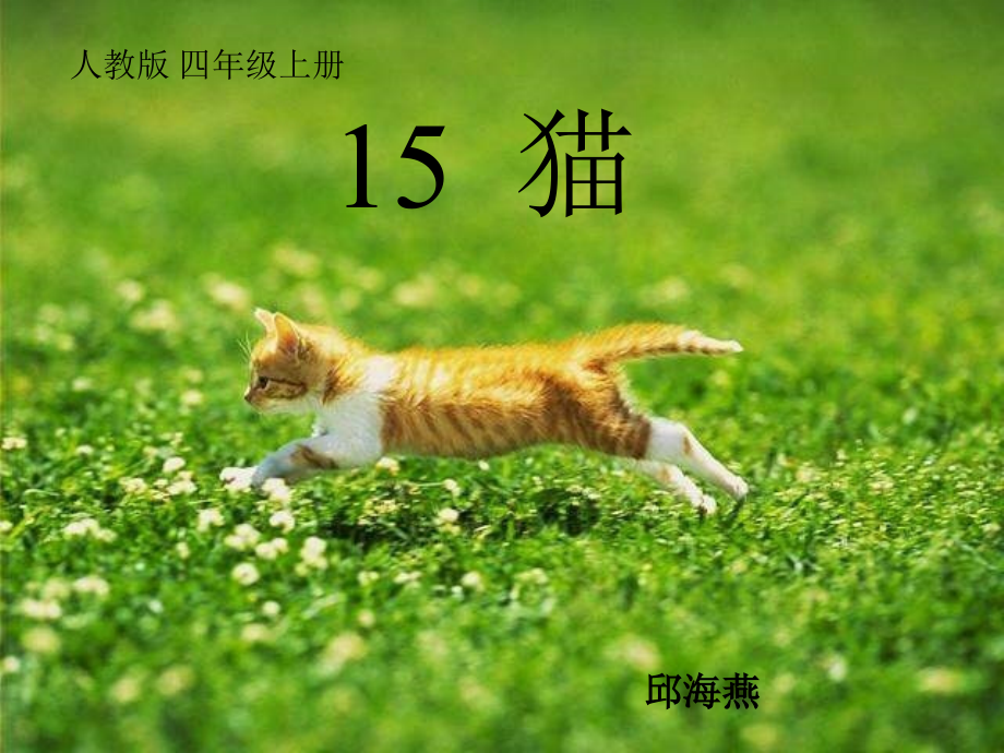 (人教版)四年级语文课件_猫[1].ppt_第1页