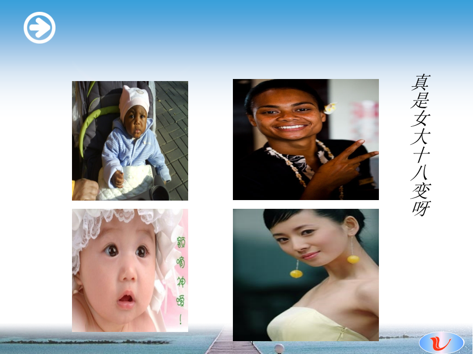 激素调节讲课课件.ppt_第1页