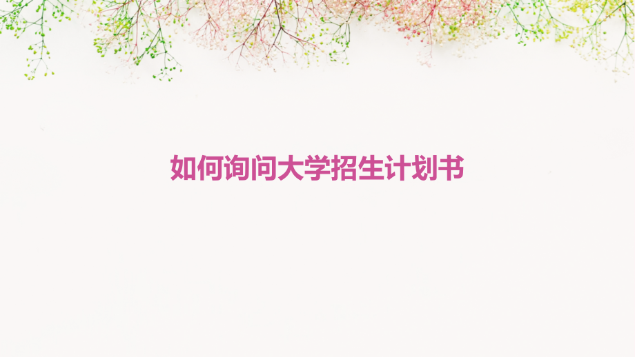 如何询问大学招生计划书.pptx_第1页