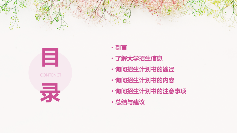 如何询问大学招生计划书.pptx_第2页