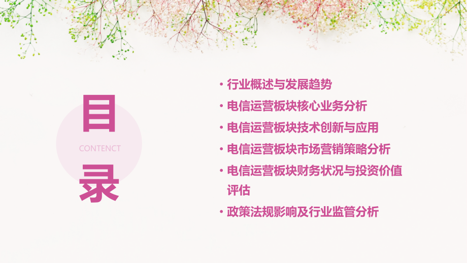 电信运营板块深度分析报告.pptx_第2页