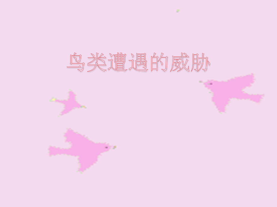 鸟类遭遇的威胁.ppt_第1页