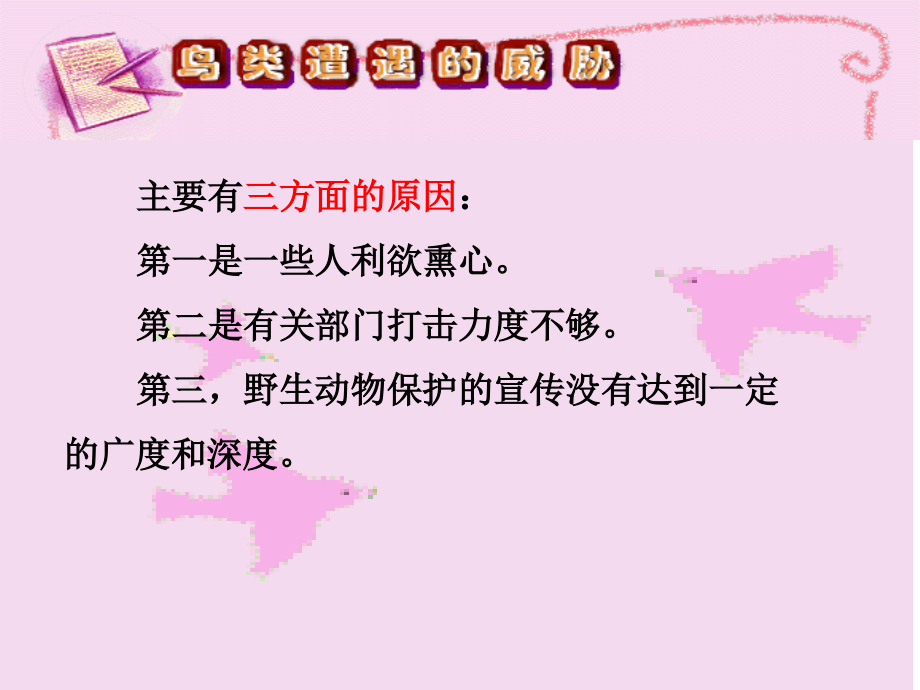 鸟类遭遇的威胁.ppt_第2页