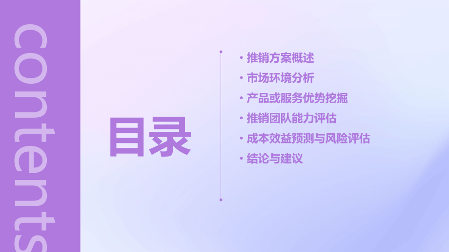 推销方案可行性分析.pptx_第2页