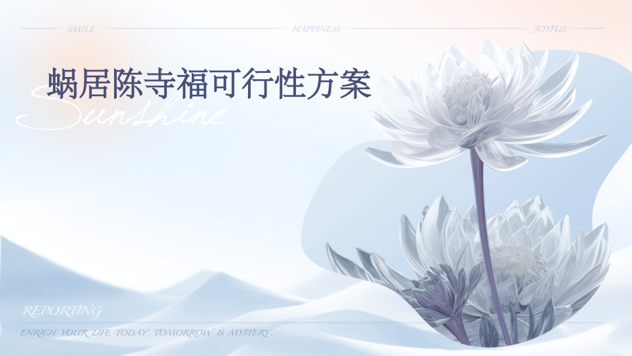 蜗居陈寺福可行性方案.pptx_第1页